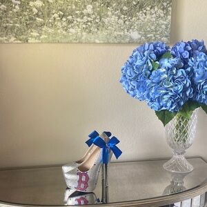 Custom Boston Red Sox Heels